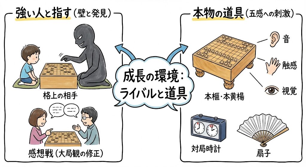 将棋が強くなるための成長環境を図解。格上の相手との対局や感想戦の重要性、本榧の将棋盤や対局時計など本物の道具が五感に与える刺激をイラストで解説。